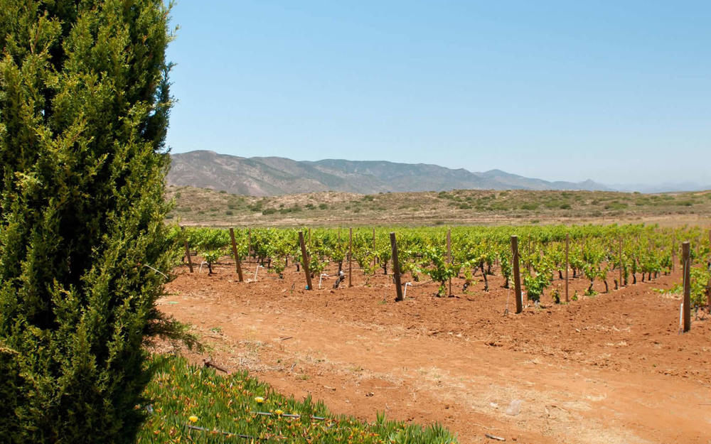 Rancho El Parral Villa San Marcos  Eksteriør bilde