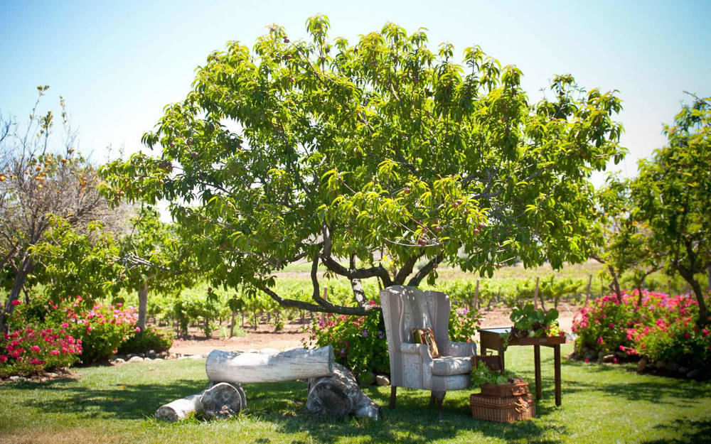 Rancho El Parral Villa San Marcos  Eksteriør bilde
