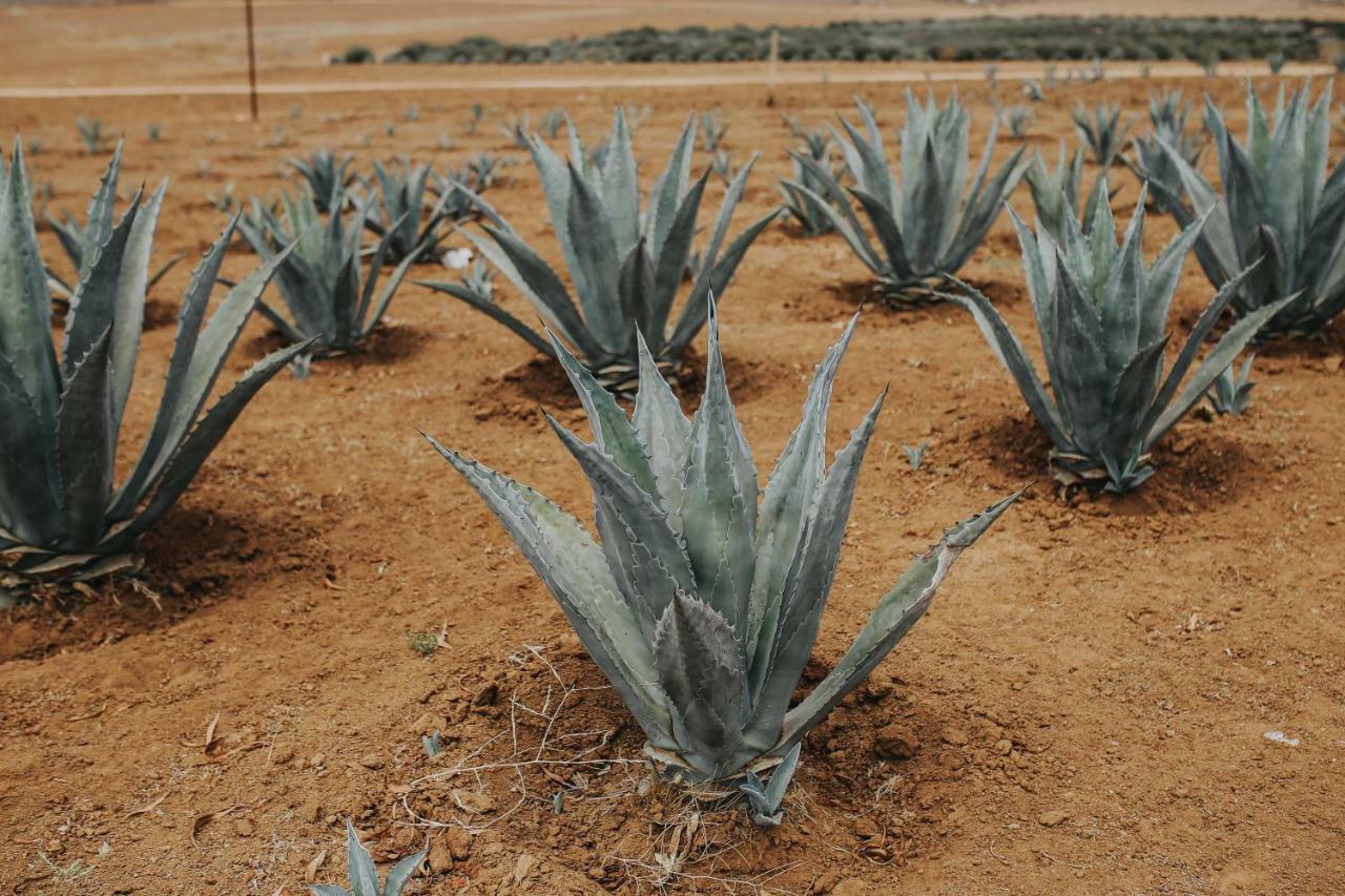 Rancho El Parral Villa San Marcos  Eksteriør bilde
